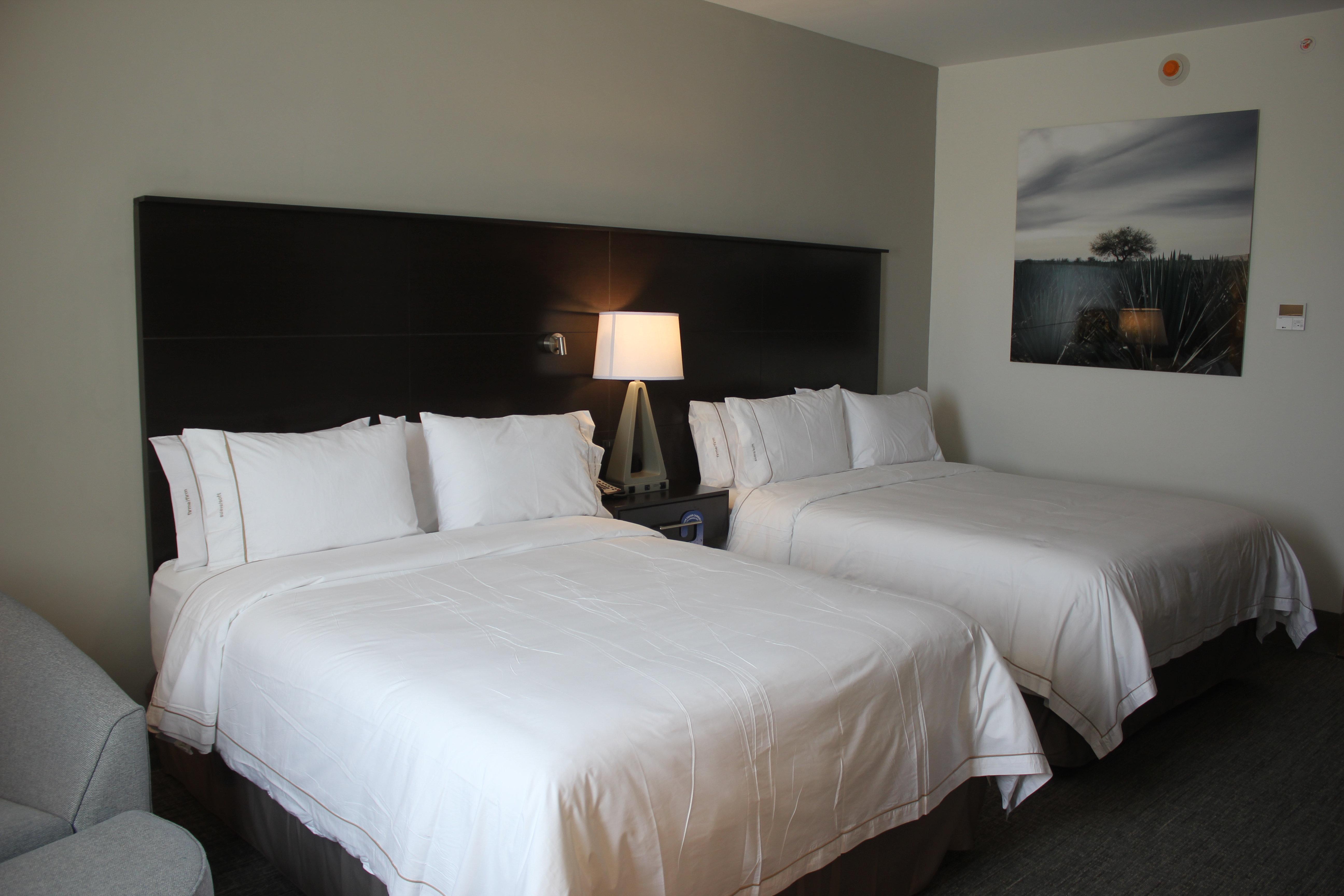 Holiday Inn Express & Suites Silao Aeropuerto Terminal, An Ihg Hotel エクステリア 写真